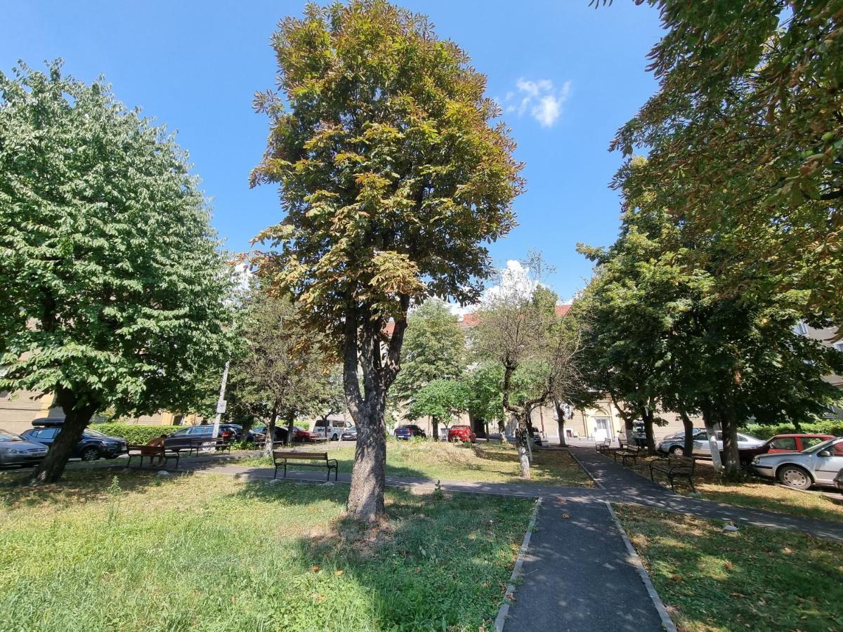 Ultra-Central 1 Bed Apartment, Str Nicolae Iorga Baia Mare Eksteriør bilde