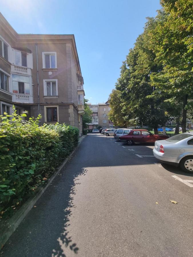 Ultra-Central 1 Bed Apartment, Str Nicolae Iorga Baia Mare Eksteriør bilde